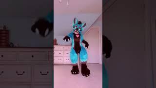 Tail goes#furry #furryfandom #furriesoftiktok #fyp #foryou #furrytiktok