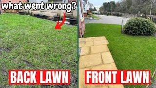 Why Does My Back Lawn Look So Bad?