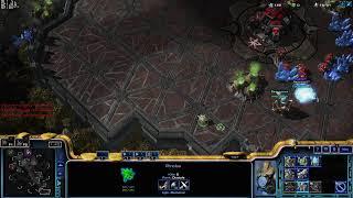 Starcraft 2 - 2v2 - Jul 21 2024 - B - SC2 Gameplay