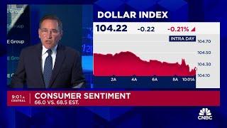 July consumer sentiment sinks to lowest level since November