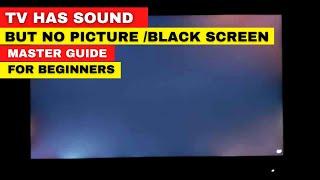 LCD TV Has Sound But No Picture  Black Screen Only - Master Guide for Beginners