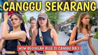 SITUASI TERBARU DI CANGGU BALI SAAT INI virtual tour di Bali