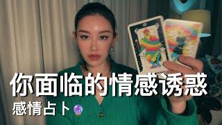 你的情感诱惑【无限时感情占卜】