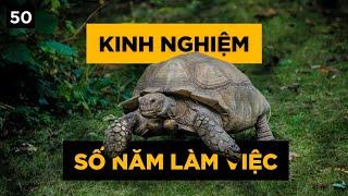 Kinh nghiệm không phải số năm làm việc