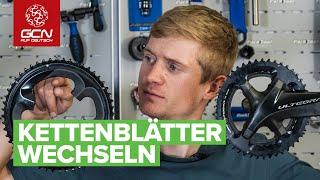 Kettenblatt wechseln - so gehts  Shimano Campagnolo oder SRAM Kurbeln