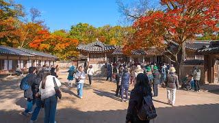 Changdeokgung Palace Secret Garden Autumn Walking Tour Seoul  Korea Travel Guide 4K HDR