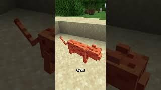 Minecraftta Leoparların HİÇ Bilinmeyen Hikayesi #shorts #minecraft #short #shortsvideo #tiktok