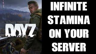 How To Enable Infinite Sprint Jumping & Fighting Stamina On DayZ Community Server PC Console 1.19