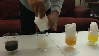 Absorbancy Test using paper towels