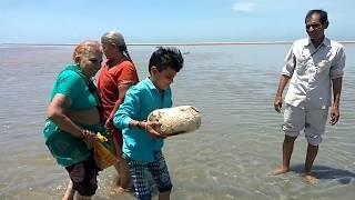 Floating Stone  रामसेतु का पानी मे तैरता हुआ पत्थर