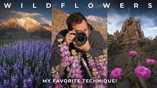 How to Capture SHARP Flowers In Windy Conditions  Landscape Photography Tips & Techniques