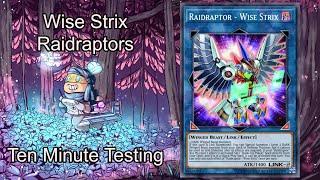 WISE STRIX RAIDRAPTOR - Ten Minute Testing 3420