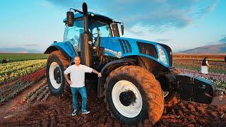 New Holland T8.350