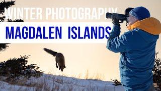 Best Winter Photography Locations in the Magdalen Islands  Îles de la Madeleine