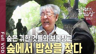 인생의 쉼표를 찾아 숲으로 떠난 사람들이 발견한 맛의 느낌표 숲에서 밥상을 찾다  한국인의 밥상 - 쉼 그리고 맛의 느낌표  KBS 20240926 방송