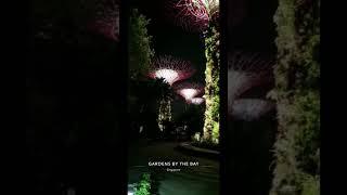 Garden by the bay  Singapore #shorts  #viral #trending  #singapore #tourist