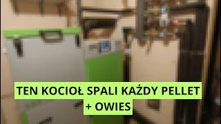 TEN KOCIOŁ NA PELLET SPALI WSZYSTKO