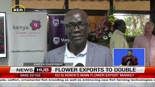 Kenya flowers exports expected to double in the next 2 months as the sector gears to high season