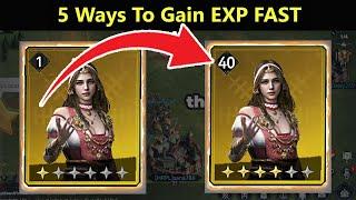 5 Ways to Gain EXP Fast In Viking Rise  Viking Rise Tips