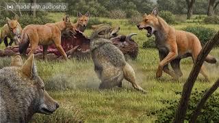 Dire wolf sound effects