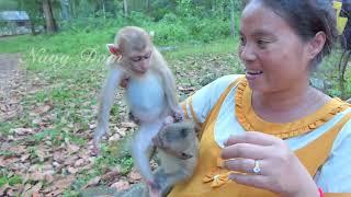 KT has already given birth. old clip Angela happy to play with mom KT after drink milk she love KT