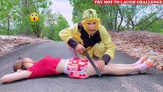 Try Not To Laugh  New Funny Videos 2020 - Episode 73  Sun Wukong