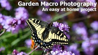 Macro Photography in the Garden