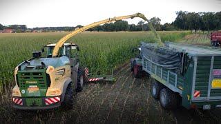 BIG X 1180 Maisernte 2024   Häckseln mit Fendt und JohnDeere Traktoren im Emsland 12