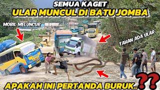 A snake appears and the car reverses almost into a ravine in Batu Jomba