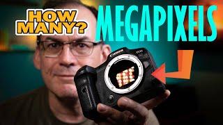 HOW MANY MEGAPIXELS DO YOU NEED?  YOU MAY BE SURPRISED