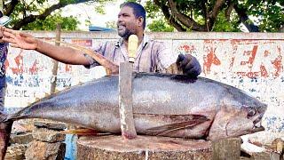 $95 MASSIVE TUNA FISH CUTTING  FISH CUTTING SKILLS  FISH CUTTING VIDEOS #KASIMEDU  UK SONS MARINE