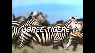 Horse Tigers 1992