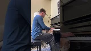 Do you practice on the piano with a furbaby?