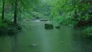 The beautiful little river is raining230  sleep relax meditate study work ASMR