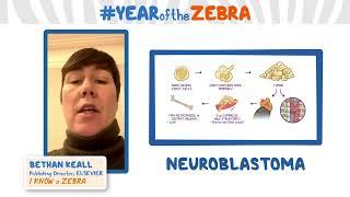 I Knew a Zebra - Neuroblastoma