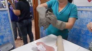 Removing Botfly Larva from Infant Howler Monkey