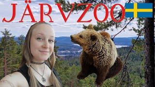 Swedens Järvzoo. Pine forests and Nordic animals