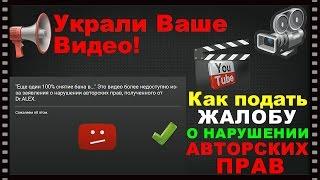 Dr.Alex Украли Ваше видео Как подать жалобу о нарушении авторских прав.