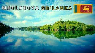 Madol Doova and #cinnamon Island Travel in #Sri_Lanka  #Galle attraction. #Madol_Doova #Koggala ️