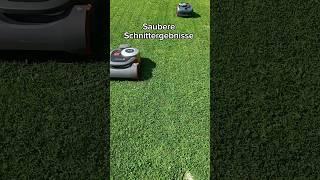 Segway Navimow i108e & H1500E