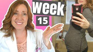 15 Week Pregnant and What to Expect   When Do you Start to Show