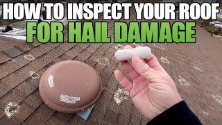 How to inspect your roof for hail damage  Pro Exteriors