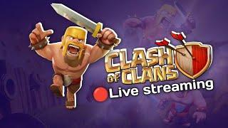 Live Coc  Menggabut di desa coc