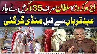 Maveshi Mandi Latest Updates  Eid Ul Adha 2024  Karachi Mandi Update