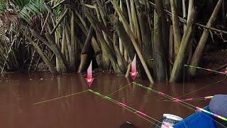 Shrimp fishing - Fishing near flowing water sources