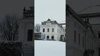 SNOW In Czechia ️️  #shorts #snow #christmas #romantic  #czech