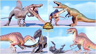 Spinoraptor VS All Dinosaurs Killing Animations  Jurassic World Evolution 2 - Secret Species