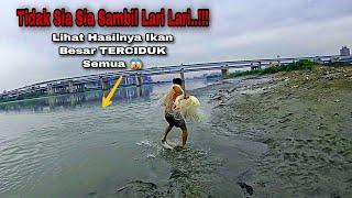 Sampai Bingung Mau Tebar JalaDi Mana Mana Ada Ikan  Ikan Nila Babon