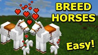 How to BREED HORSES in Minecraft 1.20 INSTANTLY
