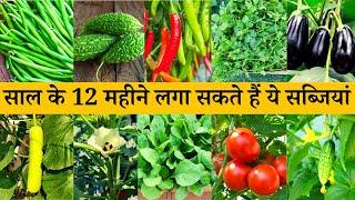 You can grow these vegetables in pots throughout the year. Vegetable which can be grown anytime in the garden. gardening